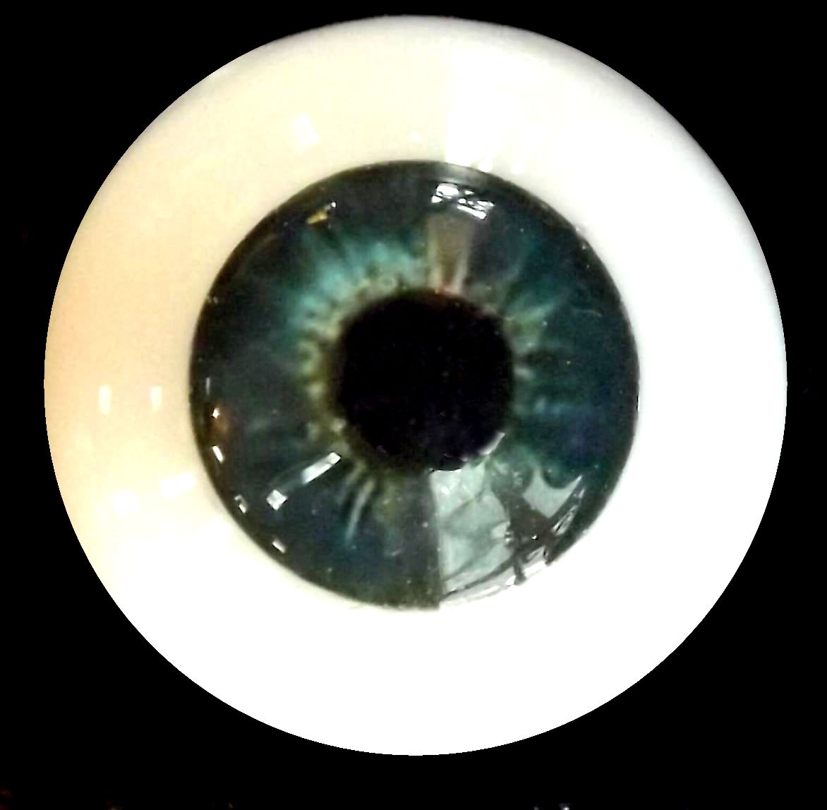 eye