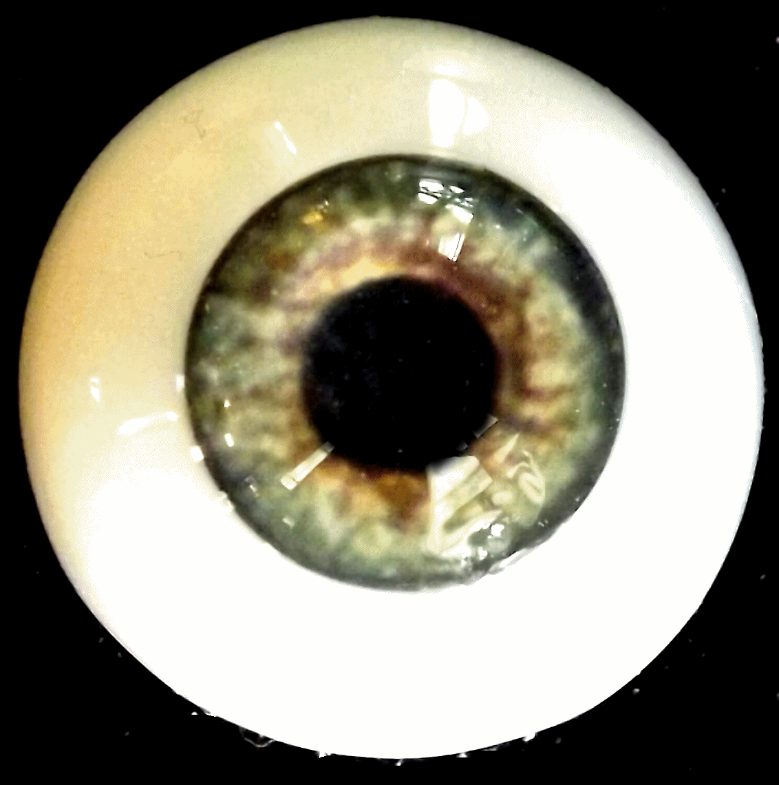 eye