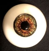 eye