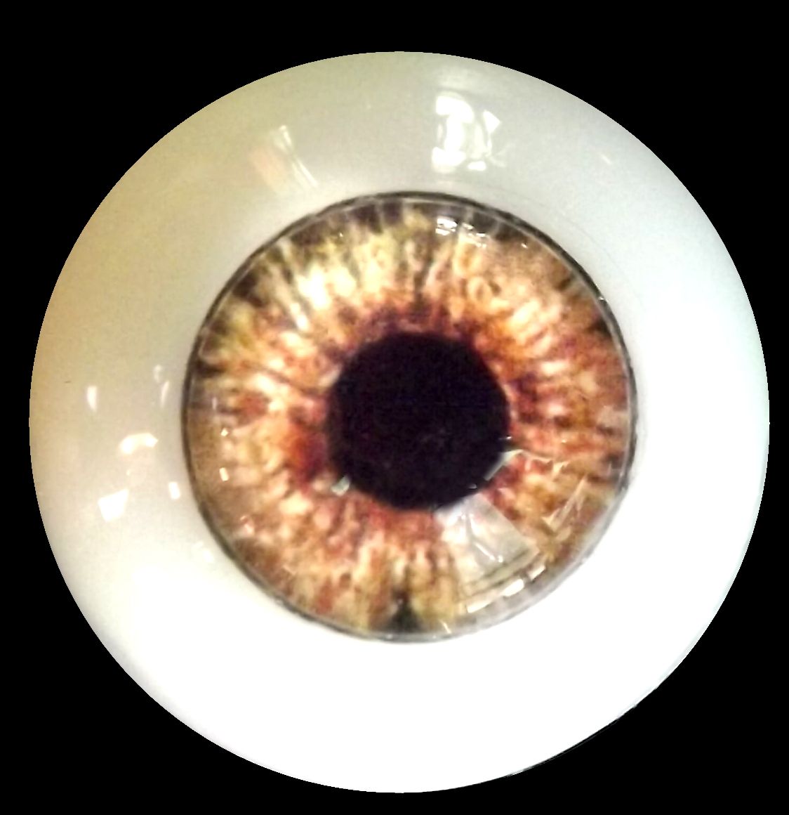 eye