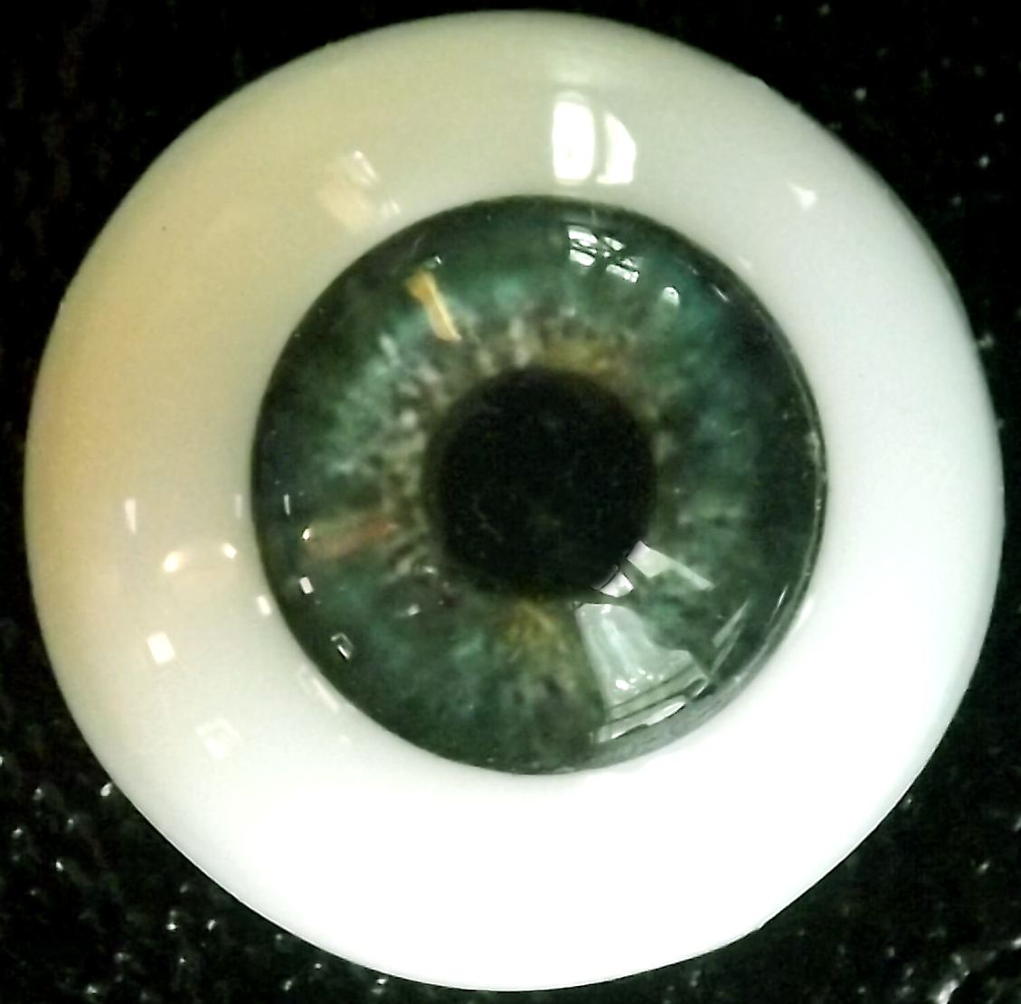 eye