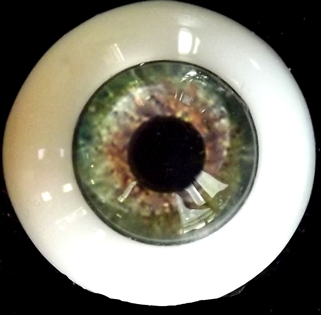 eye