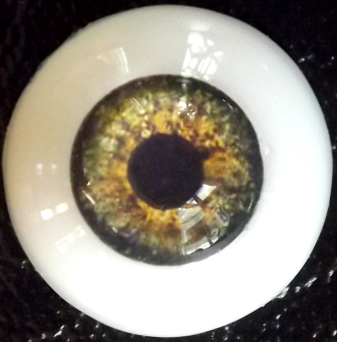 eye