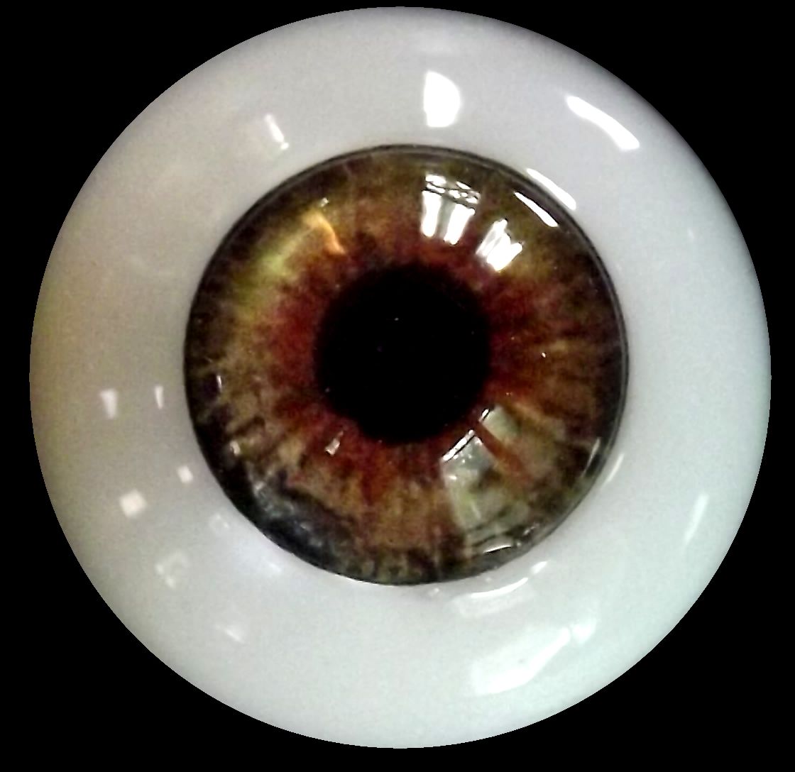 eye