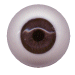 eye