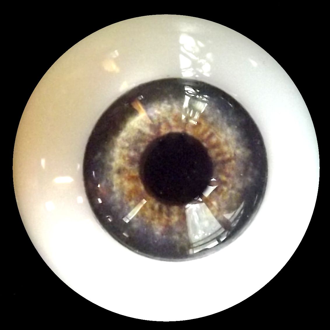 eye