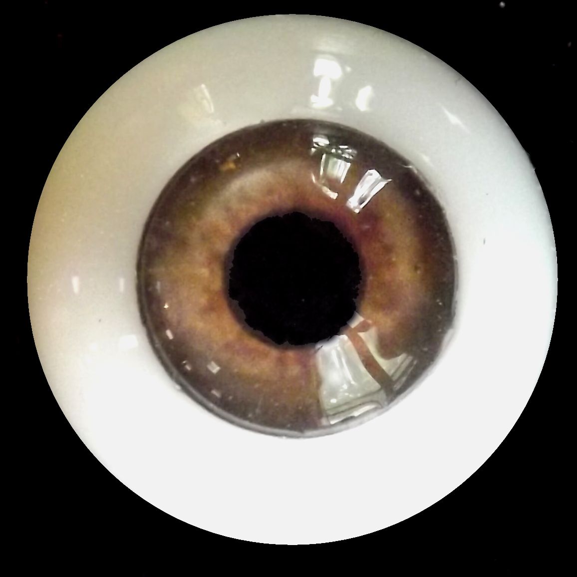 eye