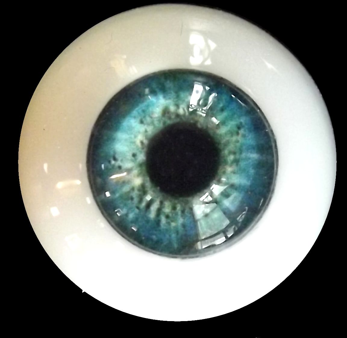 eye