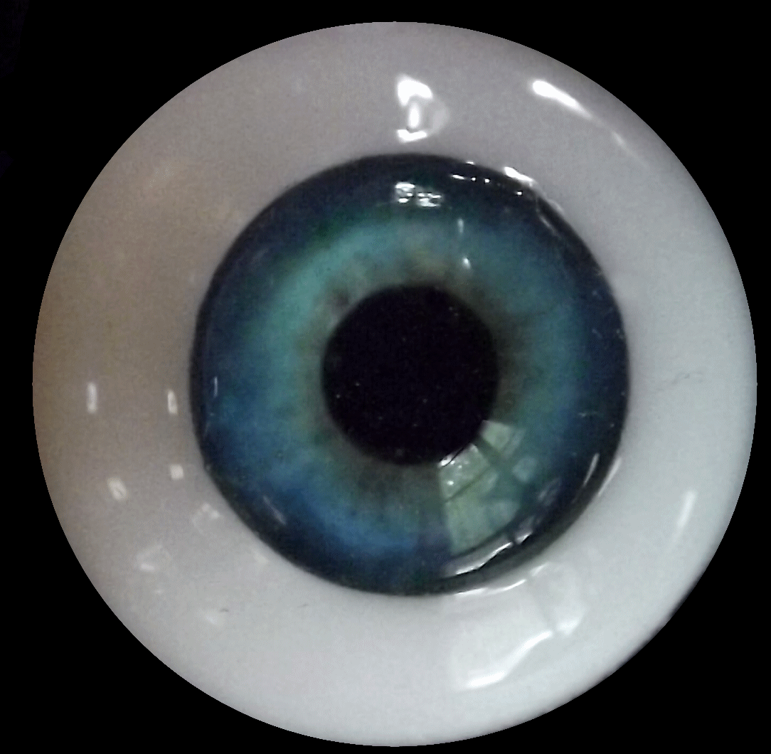 eye