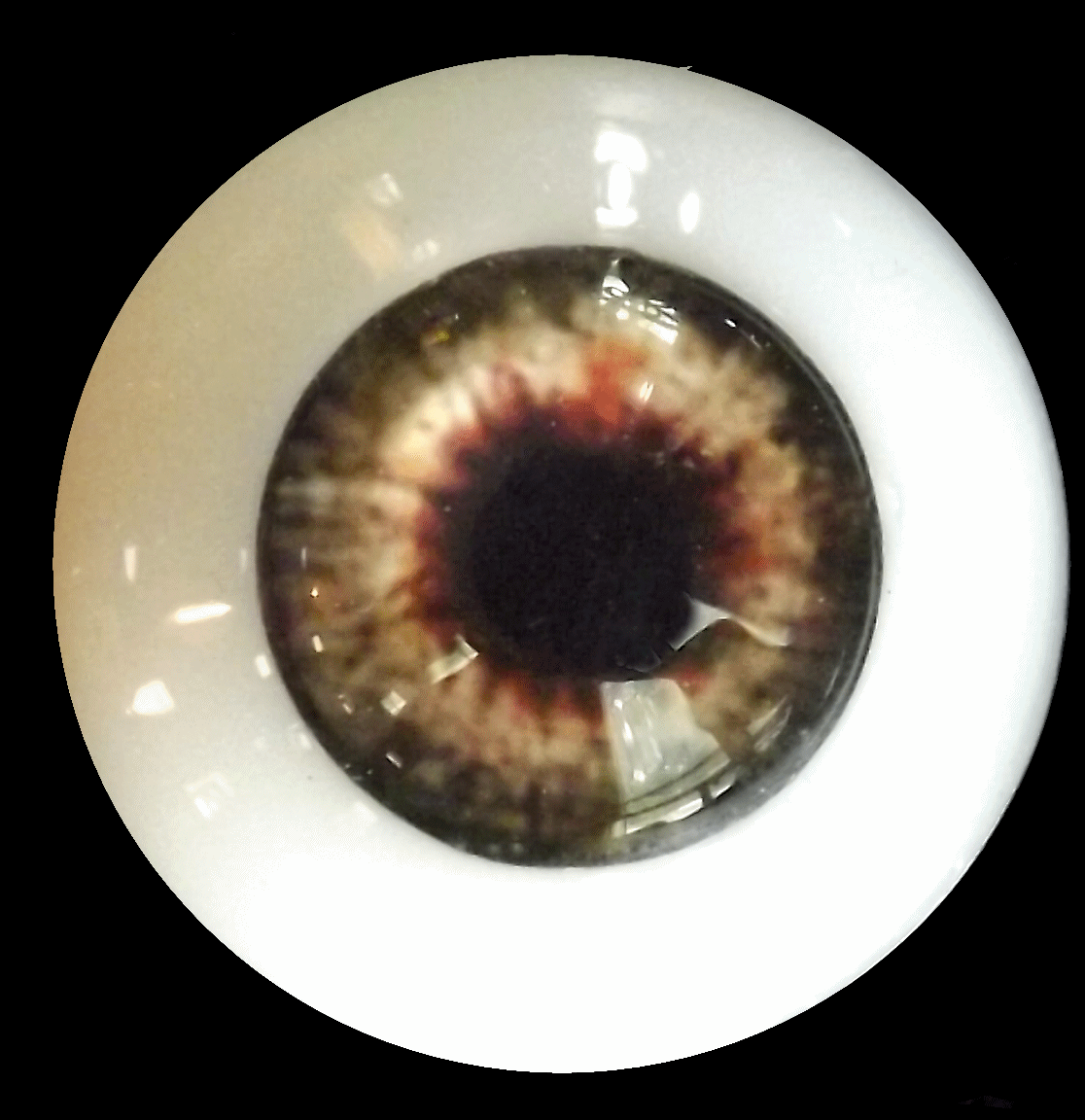 eye